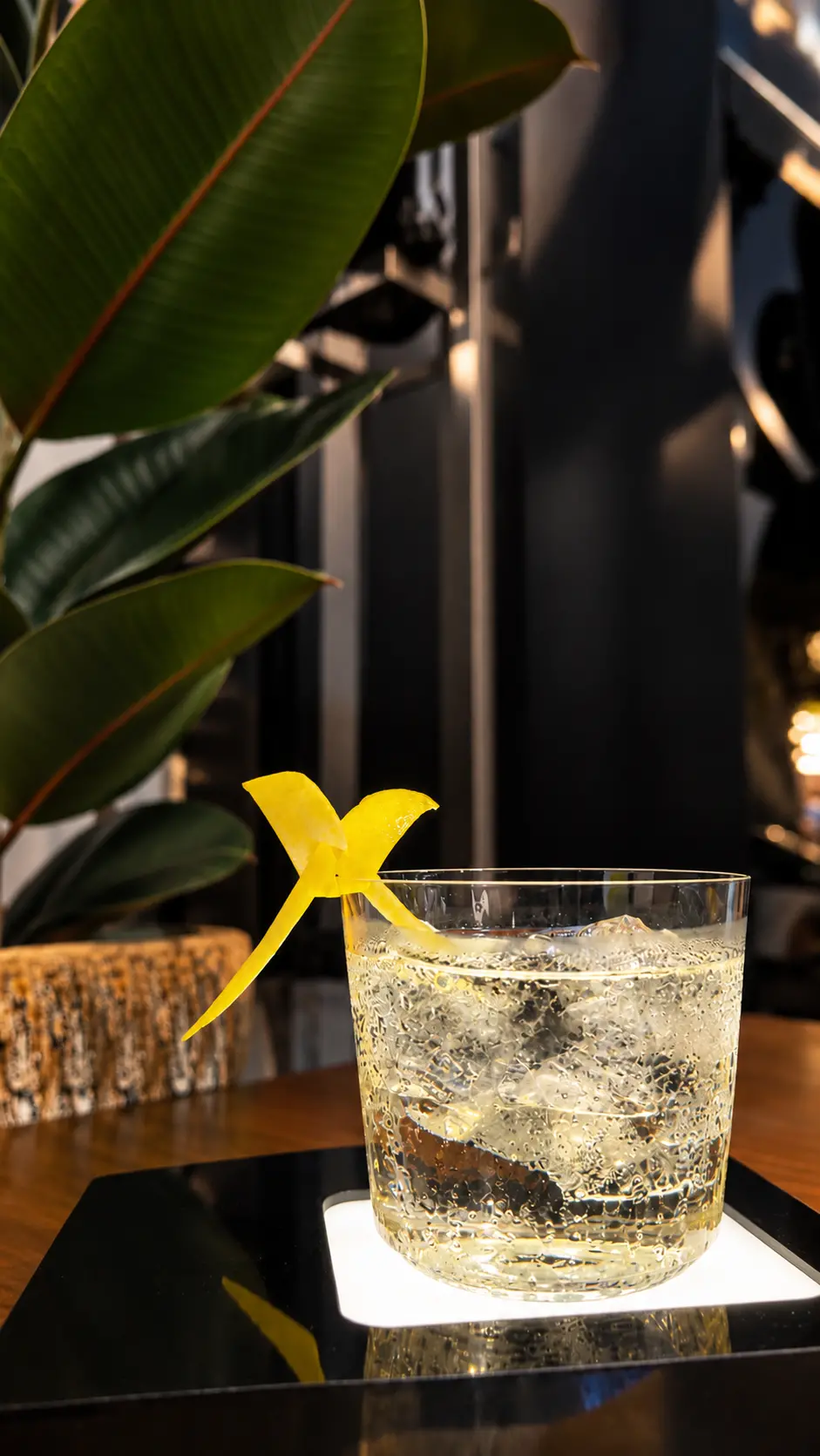 dragoni-bar-soiree